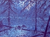 skogen-stronk-2011-blauw
