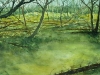 skogen-aquarel-horizontaal-berken-56x200