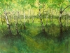 skogen-berken-aquarel-140x159