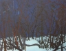 skogen-blauw-winterlandschap-140-x166-gemengde-techniek