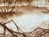 skogen-bruin-horizontaal-56x200