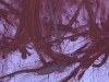 skogen-rood-horizontaal-gemengde-pigment-collage-en-krijt-techniek-55x200